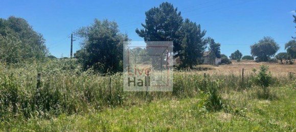 Grundstück in Coruche, Portugal 4750m², Nr. 66415 4