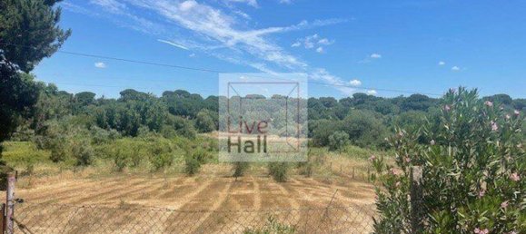 Grundstück in Coruche, Portugal 4750m², Nr. 66415 13