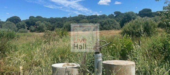 Grundstück in Coruche, Portugal 4750m², Nr. 66415 26