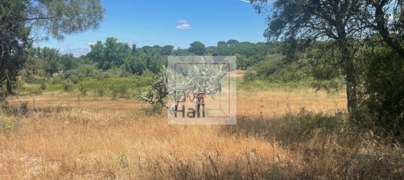 Grundstück in Coruche, Portugal 4750m², Nr. 66415 17