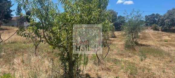 Grundstück in Coruche, Portugal 4750m², Nr. 66415 24