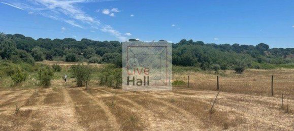 Grundstück in Coruche, Portugal 4750m², Nr. 66415 11