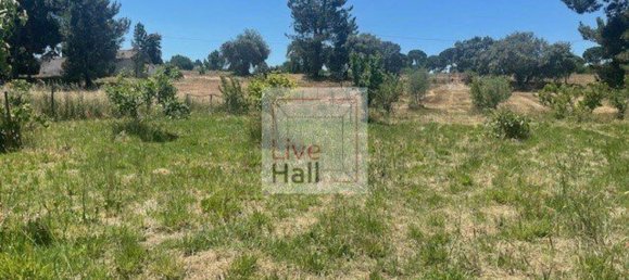 Grundstück in Coruche, Portugal 4750m², Nr. 66415 23