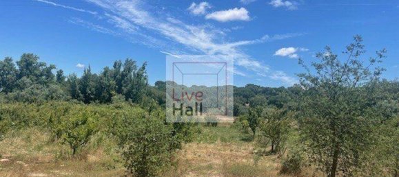 Grundstück in Coruche, Portugal 4750m², Nr. 66415 5