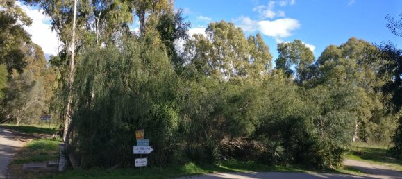 Terreno en La Quinta, Spain No. 146213 3