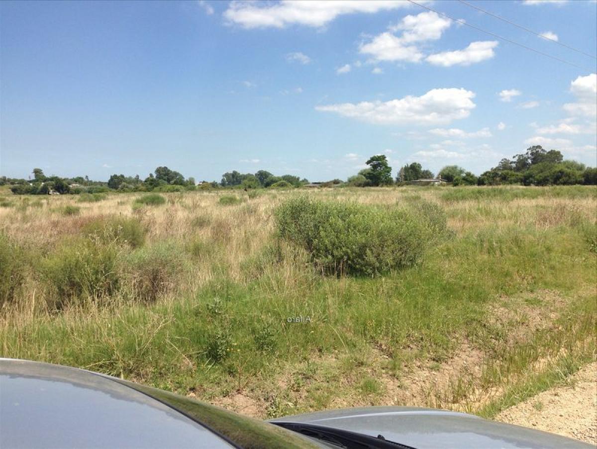 Grundstück in Canelones, Uruguay, Nr. 14507