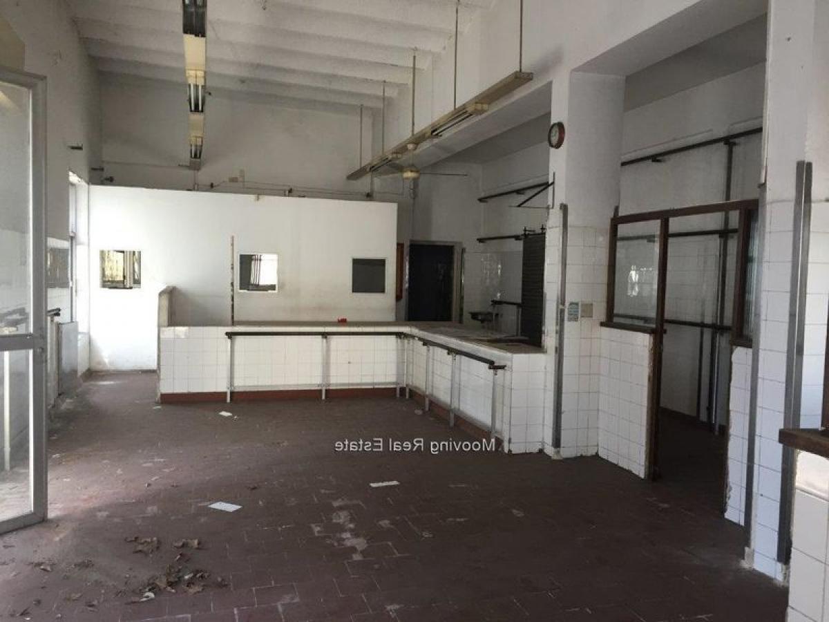 Edificio de 4 dormitorios en Montevideo, Uruguay No. 16309