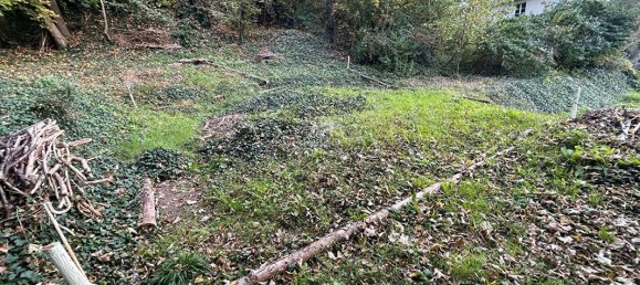 1358m² Land in Vaux-sur-Seine, France No. 173865 3