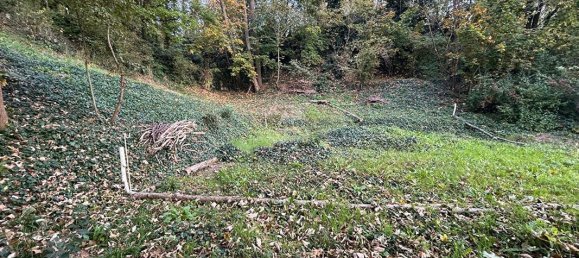 1358m² Land in Vaux-sur-Seine, France No. 173865 5