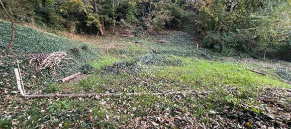 1358m² Land in Vaux-sur-Seine, France No. 173865 4