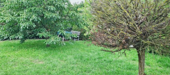 3 chambres Bungalow à Markisch-Oderland, Germany No. 357565 6