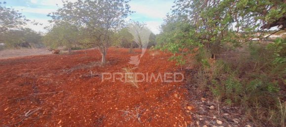 1490m² Land in Loule, Portugal No. 38705 10