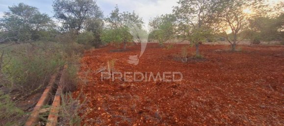 1490m² Land in Loule, Portugal No. 38705 11