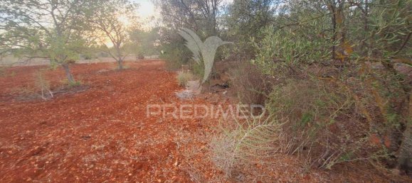 1490m² Land in Loule, Portugal No. 38705 9