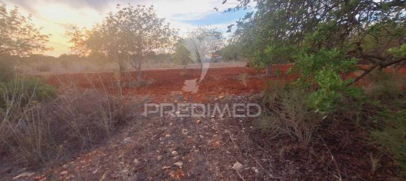 1490m² Land in Loule, Portugal No. 38705 7