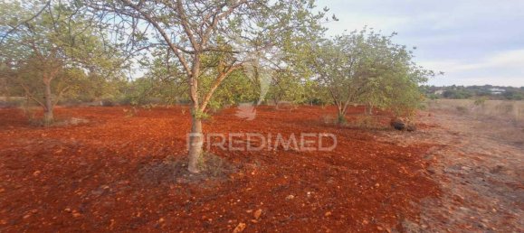 1490m² Land in Loule, Portugal No. 38705 4