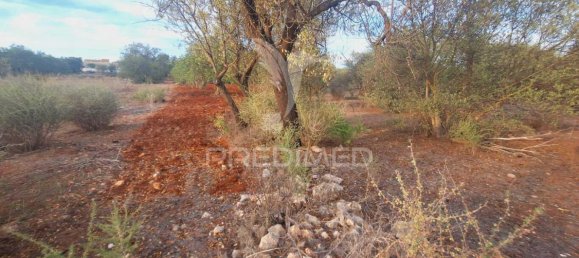 1490m² Land in Loule, Portugal No. 38705 6