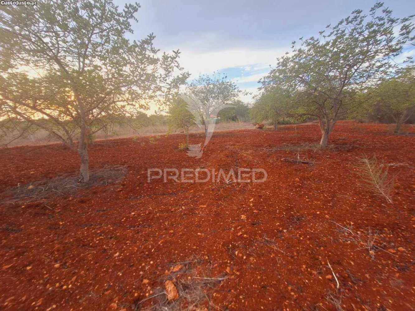 1490m² Land in Loule, Portugal No. 38705