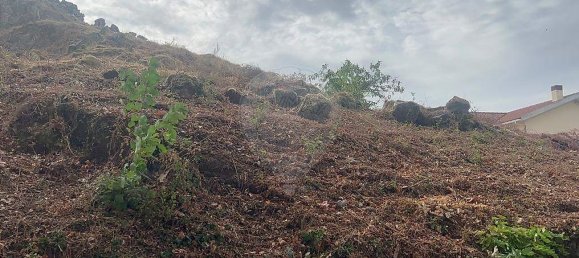 1 bedroom House in Vila Real, Portugal No. 17569 7