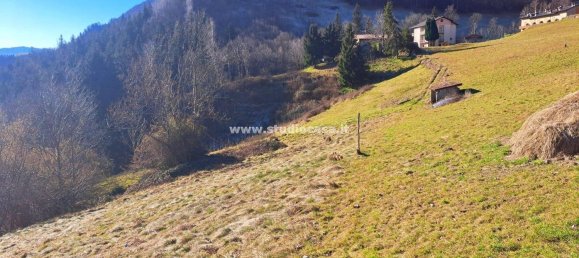 Земельный участок 3500м² в Ардезьо, Италия № 85074 8