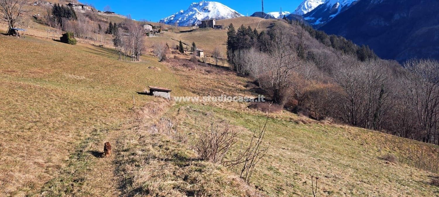 Земельный участок 3500м² в Ардезьо, Италия № 85074