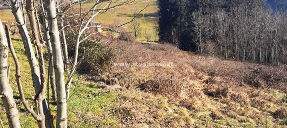 Земельный участок 3500м² в Ардезьо, Италия № 85074 17