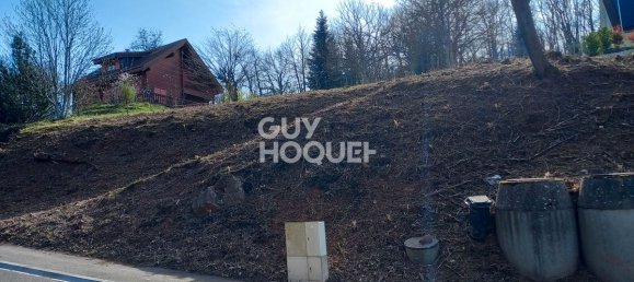 1602m² Land in Thann, France No. 341717 4