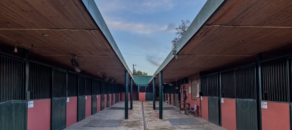 Castillos de 8 dormitorios en Elvas, Portugal No. 142771 49