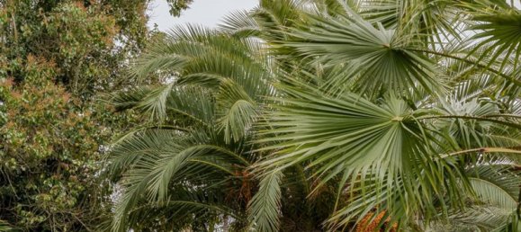 Castillos de 8 dormitorios en Elvas, Portugal No. 142771 44