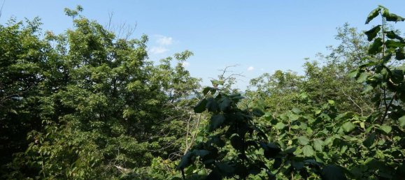 2 bedrooms Villa in Cairo Montenotte, Italy No. 279107 48