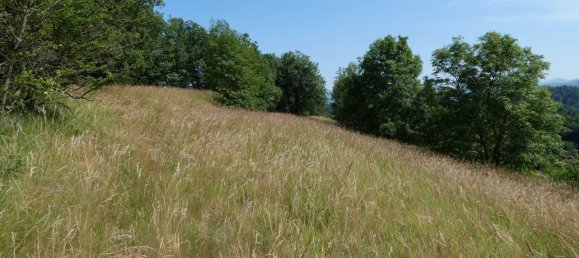 2 bedrooms Villa in Cairo Montenotte, Italy No. 279107 46