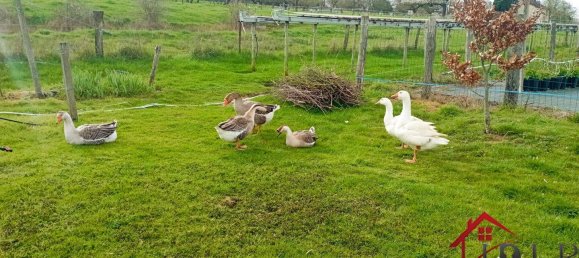 Дом с 3 спальнями в Виттель, Франция № 62528 51