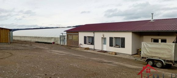 Дом с 3 спальнями в Виттель, Франция № 62528 8