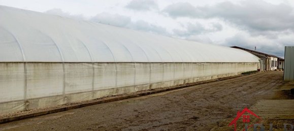 Дом с 3 спальнями в Виттель, Франция № 62528 24