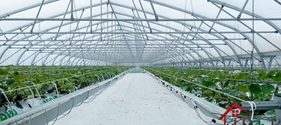 Дом с 3 спальнями в Виттель, Франция № 62528 26