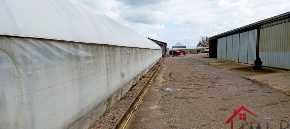 Дом с 3 спальнями в Виттель, Франция № 62528 12