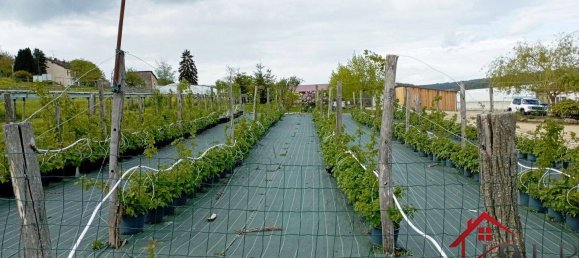 Дом с 3 спальнями в Виттель, Франция № 62528 49