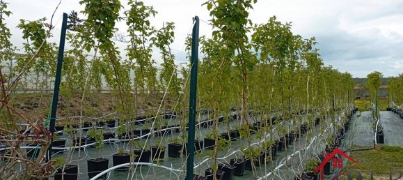 Дом с 3 спальнями в Виттель, Франция № 62528 42