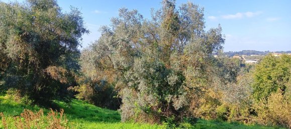 7غرفة منزل في Montebuono, Italy رقم 115439 5