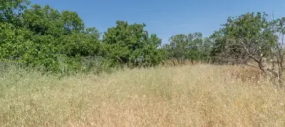  قطعة أرض في Granada, Spain رقم 175264 20