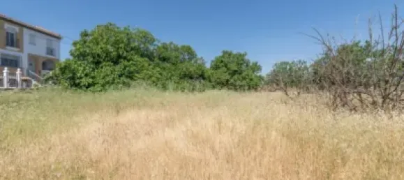  قطعة أرض في Granada, Spain رقم 175264 26