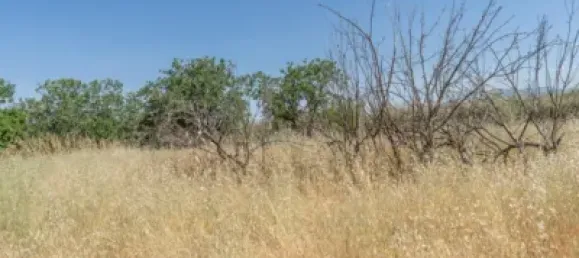  قطعة أرض في Granada, Spain رقم 175264 19