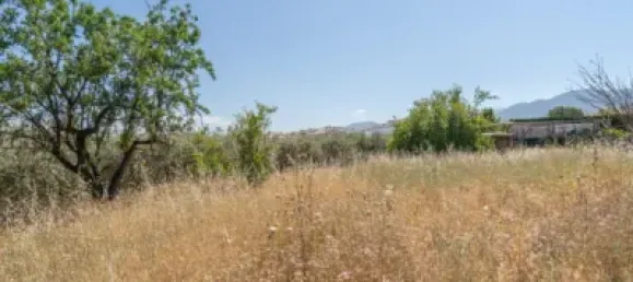  قطعة أرض في Granada, Spain رقم 175264 15