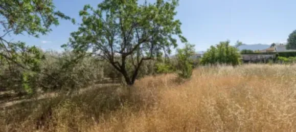  قطعة أرض في Granada, Spain رقم 175264 28