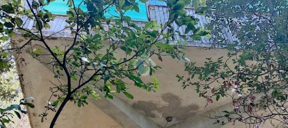 Studio in Nemi, Italy No. 101207 10