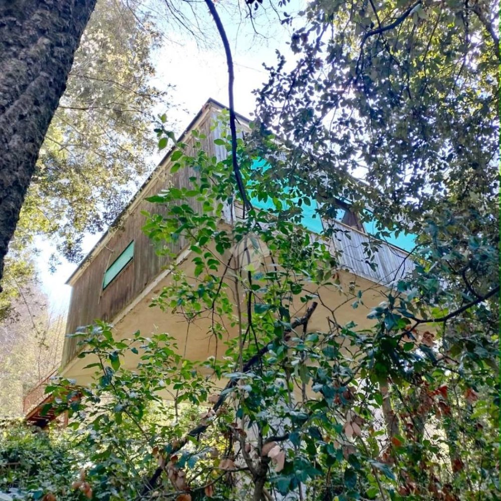 Studio in Nemi, Italy No. 101207