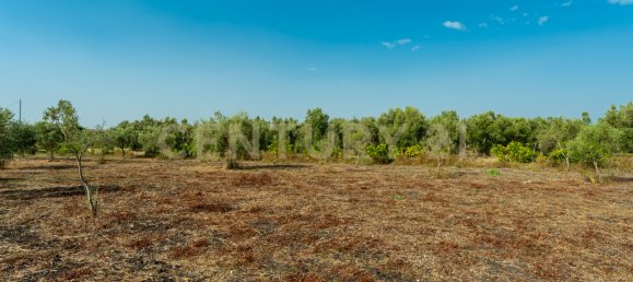 1 Schlafzimmer Haus in Carlentini, Italy, Nr. 316934 28