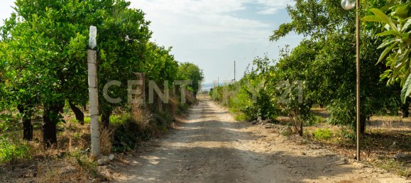 1 Schlafzimmer Haus in Carlentini, Italy, Nr. 316934 39