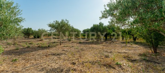 1 Schlafzimmer Haus in Carlentini, Italy, Nr. 316934 29