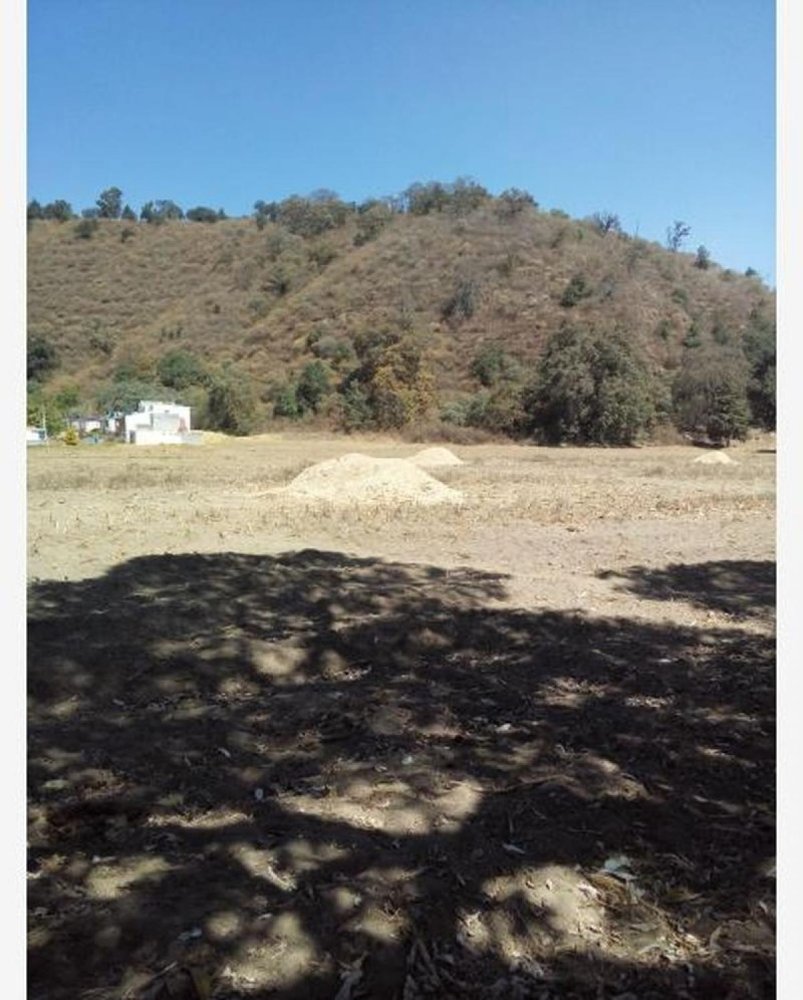  Land in Mexico No. 204602